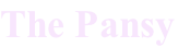 The Pansy

