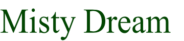 Misty Dream
