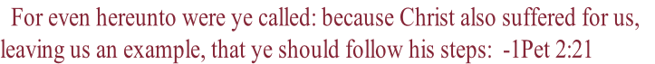   For even hereunto were ye called: because Christ also suffered for us, 
leaving us an example, that ye should follow his steps:  -1Pet 2:21  
